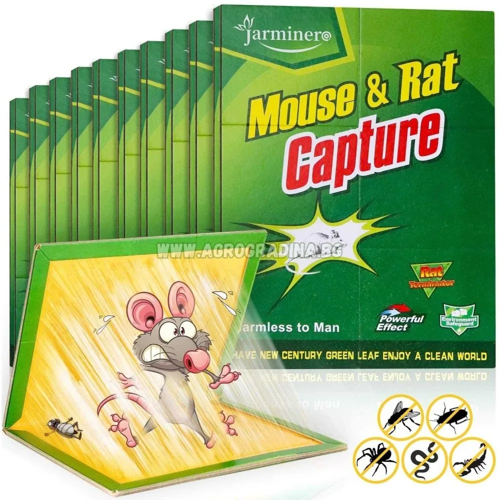Mouse Trap – Booklet Style PROMO PRICE
