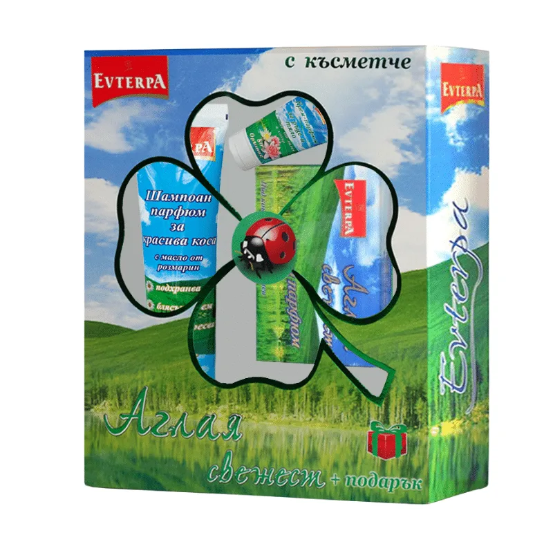 Evterpa Women's Gift Set – Perfumed Shampoo + Perfumed Soap + Perfumed Cream